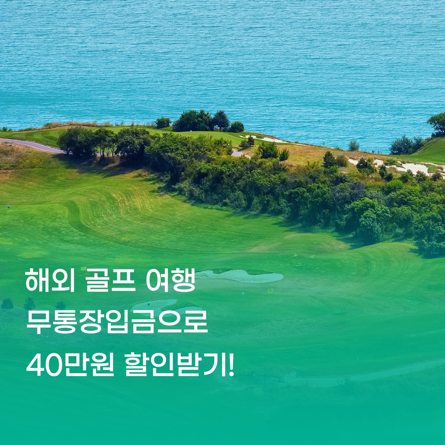 모바일 배너-1